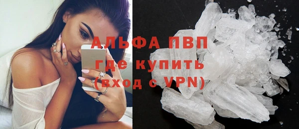дмт Новодвинск