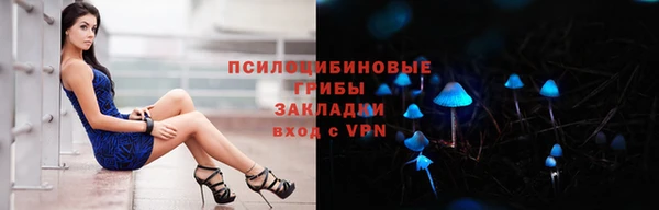 дмт Аркадак