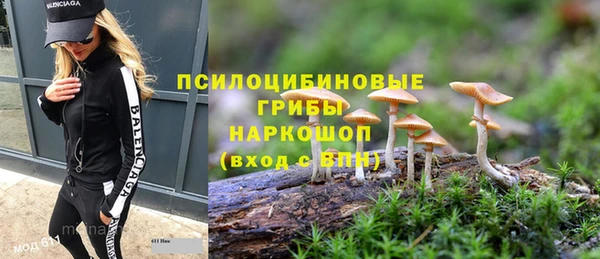 а пвп мука Арсеньев